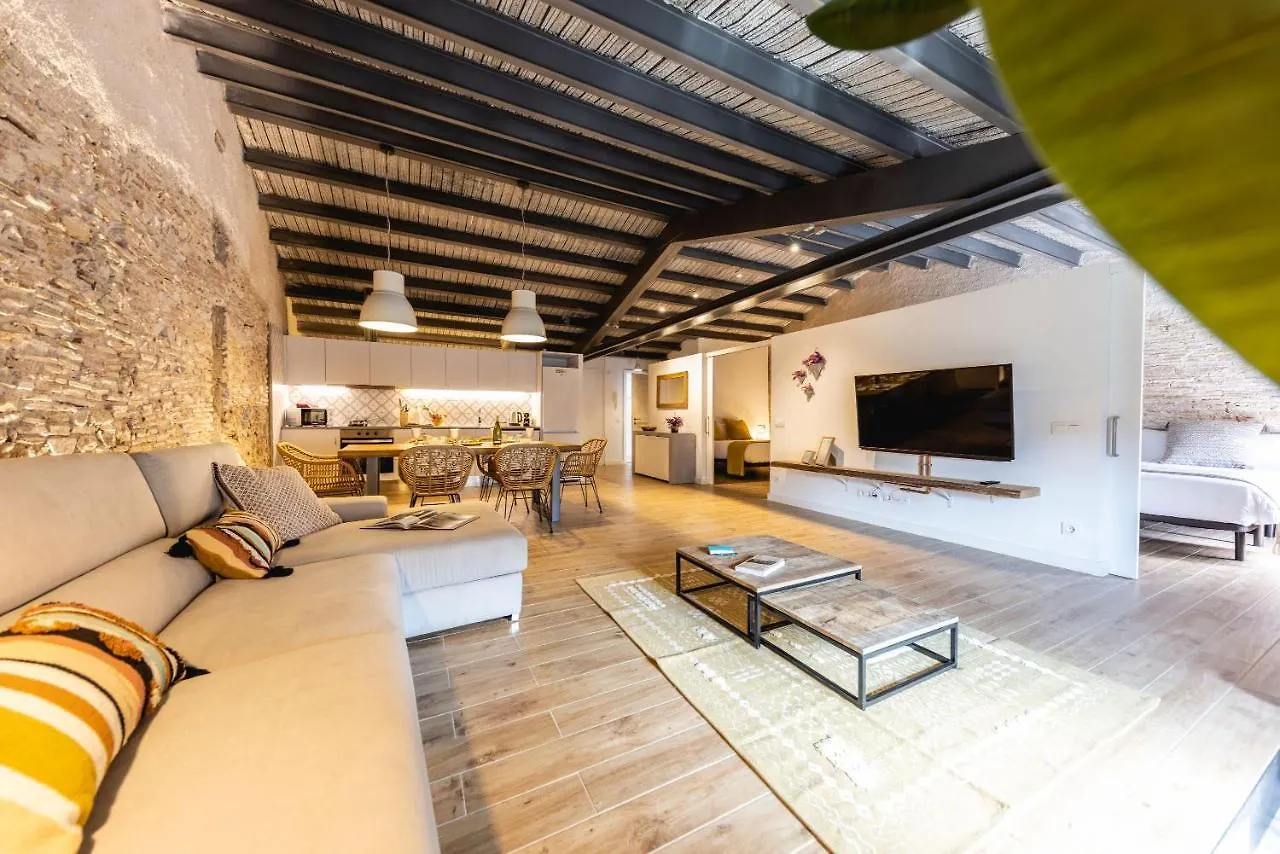 Bravissimo Placa Del Vi, Design Penthouse Girona 0*,