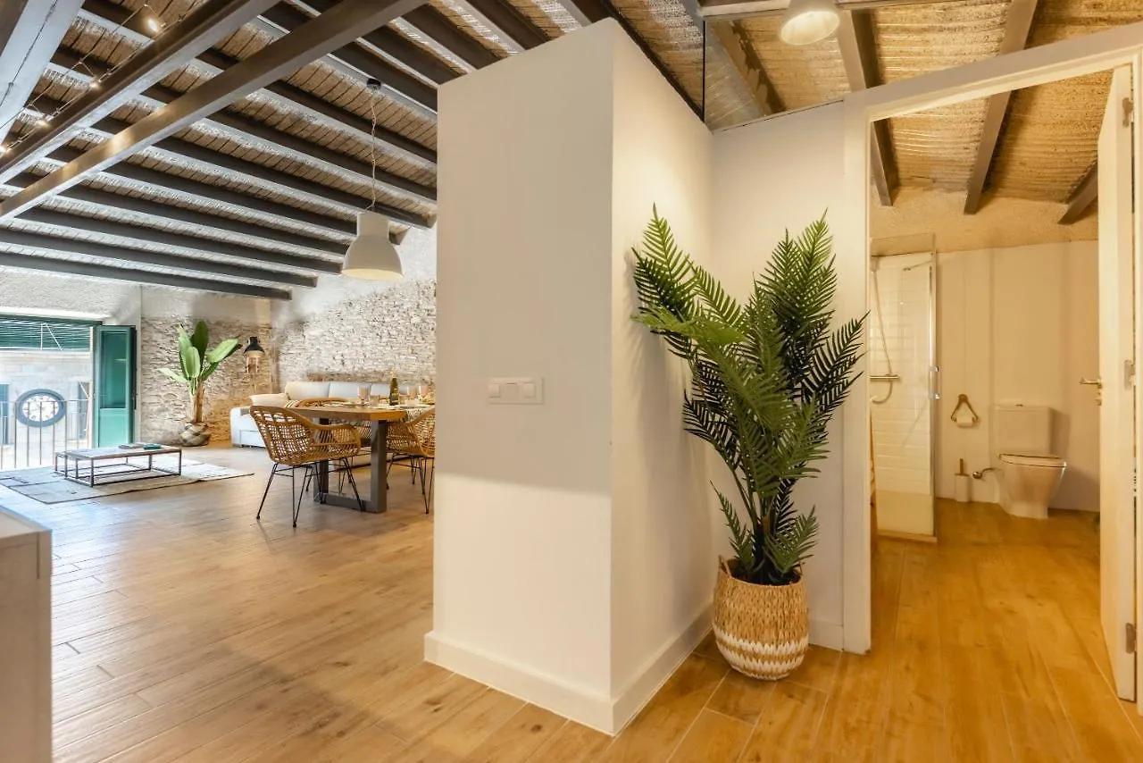 Bravissimo Placa Del Vi, Design Penthouse Girona Apartment