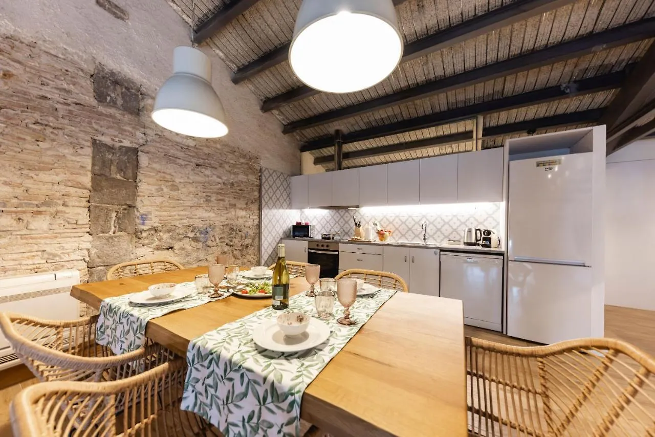 Bravissimo Placa Del Vi, Design Penthouse Girona